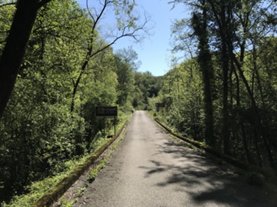 strada tra Oltrerugo e Costabeorchia