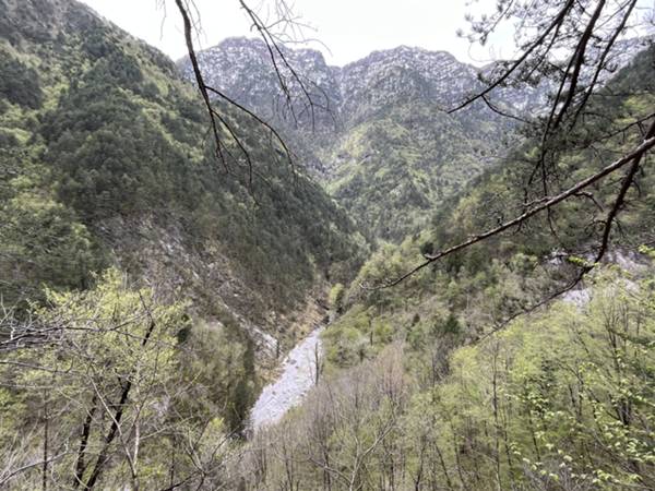 La conca di Chiaschiàarmas dal sentiero verso Siriviella