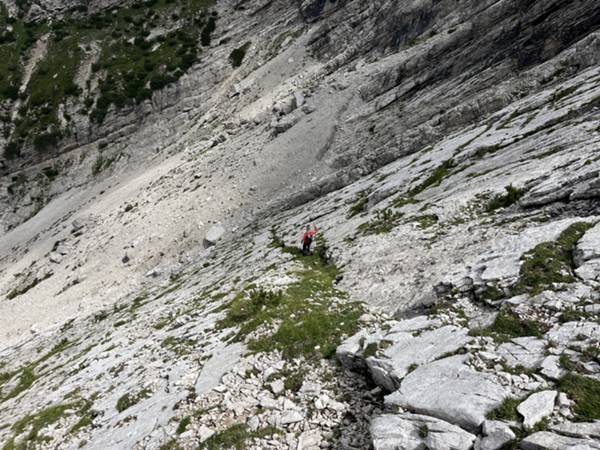 riscendiamo la placconata per l'intaglio erboso