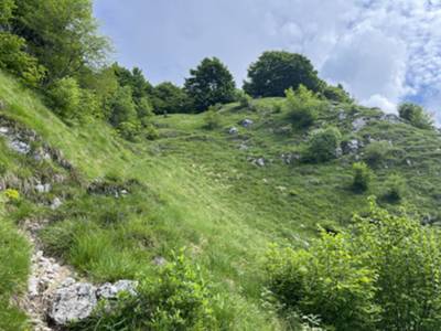 arrivo alla forcellina dove inizia la cresta