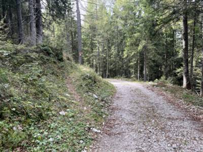 recuperiamo la bici