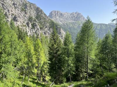 sguardo indietro: ancora parete SudOvest di monte Pramaggiore