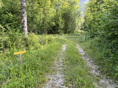 cancello alla fine della breve strada sterrata