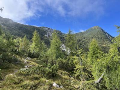 in alto a destra compare la cima del monte Fratte