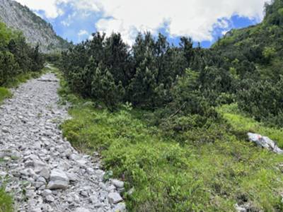 seconda parte del muro: per una sottile colata ghiaiosa tra mughi