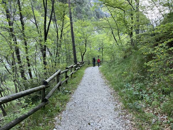 pista ciclabile sorgenti Arzino