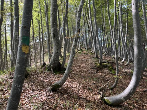 parte finale con vetta Drea e cresta in lontananza