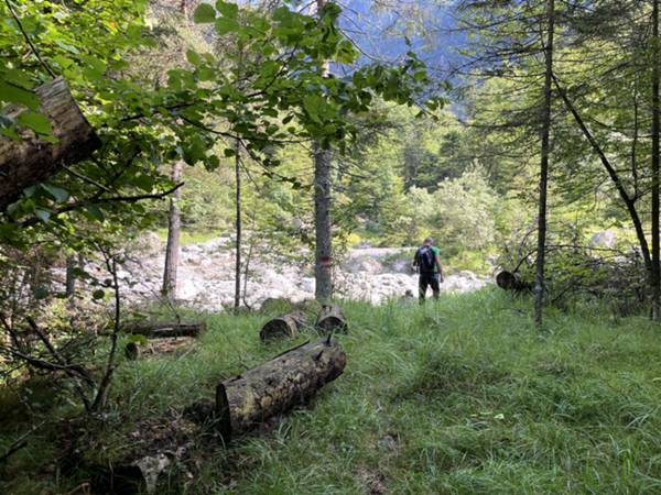 confluenza del Fosso del Tenciòn nel torrente Meduna