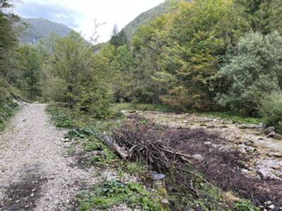 sentiero delle cascate dell'Arzino