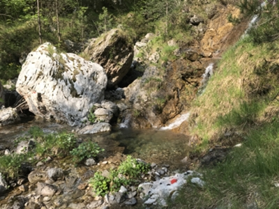 prima cascata di affluente torrente Molassa