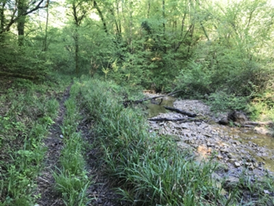 a fianco di Rugo di Costabeorchia