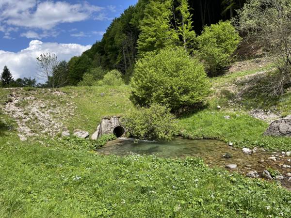 ci immettiamo sui prati prima dell'attravresamento del torrente Fraìna 