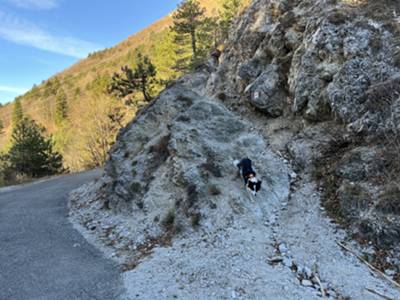 Cuel di Forchia (884mslm): inizio del sentiero