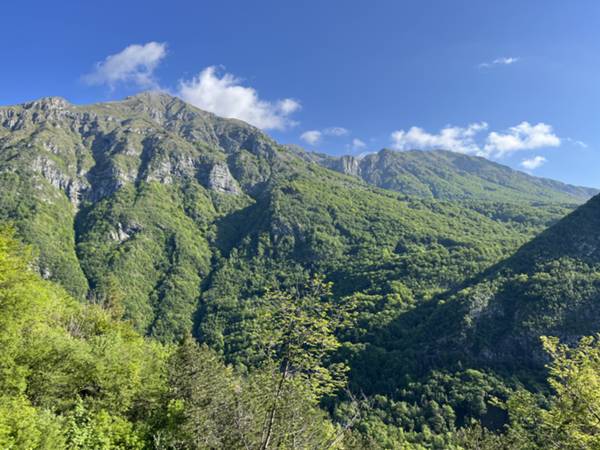 vista su monte Verzegnis