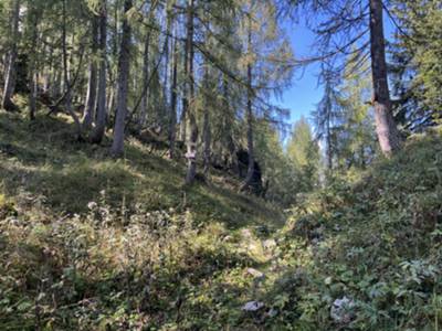 forcella Lastruta o dei Tramontins 