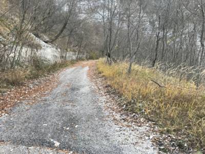 ecco la pista ciclopedonale