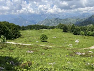 prati presso ruderi di malga Rossa