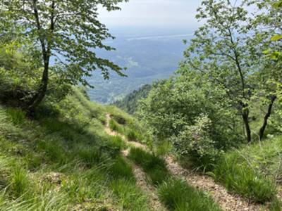 arrivo alla forcellina dove inizia la cresta