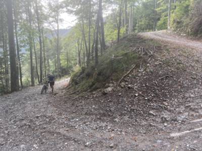 pista forestale verso malga Teglara