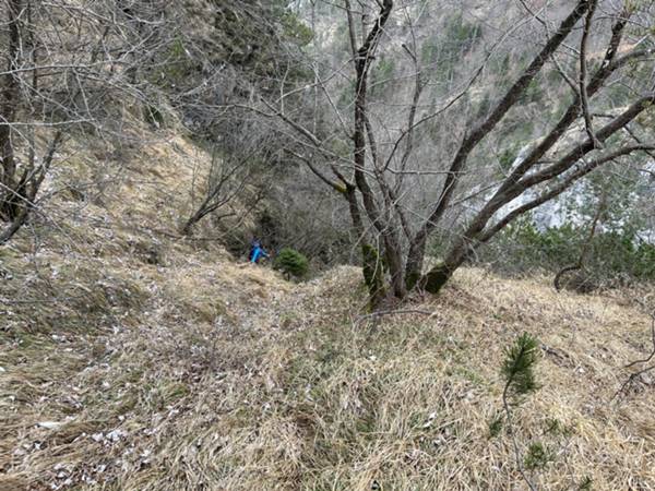 canalina erbosa greppista di risalita