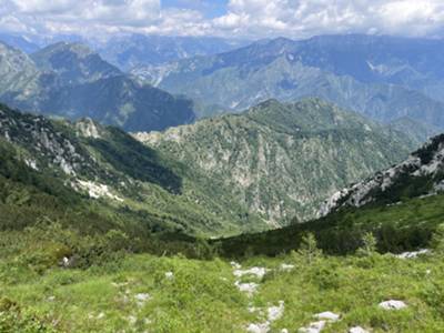 dall'alto del muro