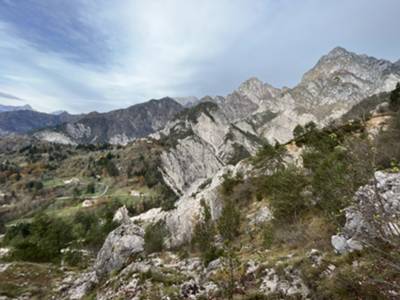 faglia periadriatica