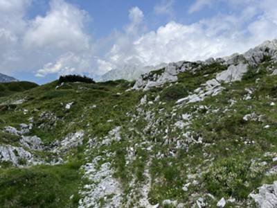 passaggio tra roccette carsiche in prateria alpina