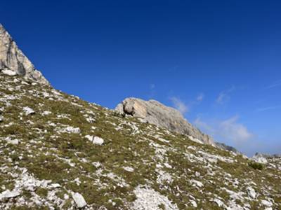 arrivo in forcella Val del Drap