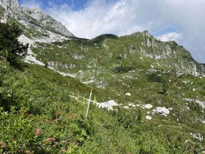 passaggio per prateria alpina