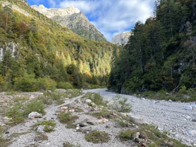 imbocco del sentiero presso bivio tra CAI 376 e CAI 398 