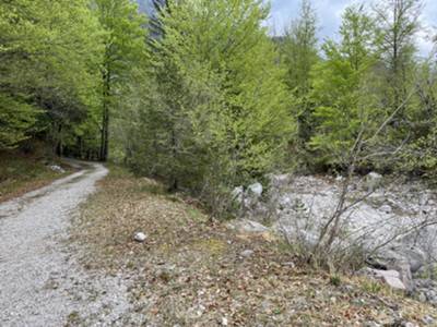 Acqua dopo il primo guado