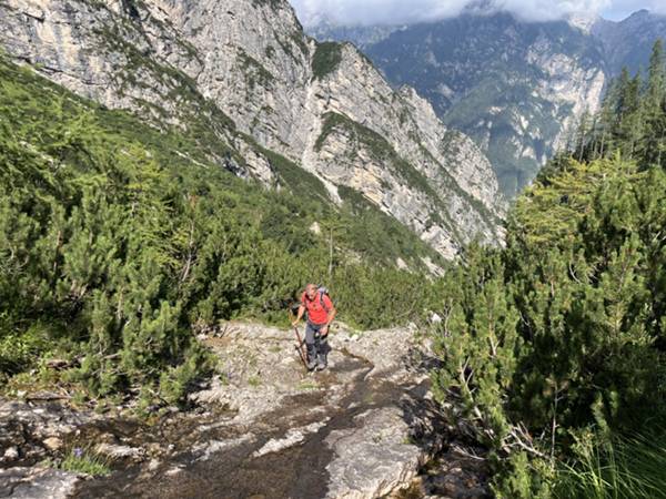 comodo passaggio su rugo tra mughi