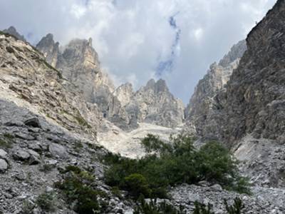 ecco la grande bellezza del catino di San Lorenzo