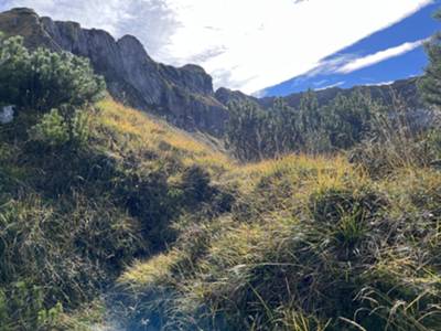 scolliniamo per entrare nel lato Est del Cadin de Dosaip