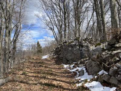 Cima Nord monte Pala