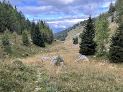 arrivo nella conca di casera Palantina