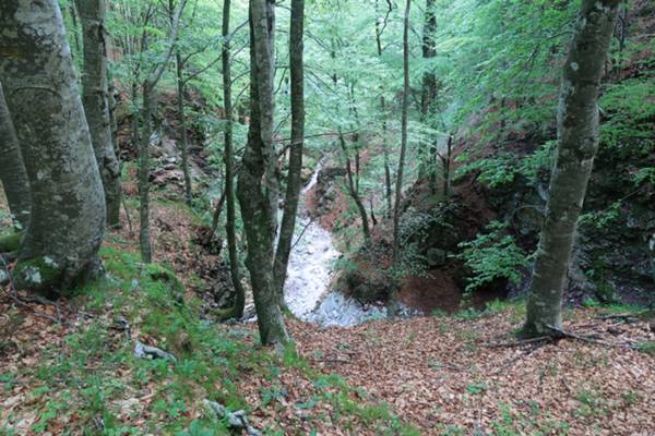 decorso a fianco di torrente Teglara