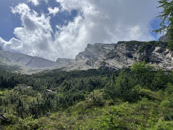 i mughi erano più densi di quel che sembrava