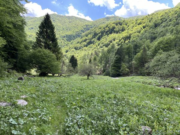 ci portiamo sulla sinistra del torrente Fraìna