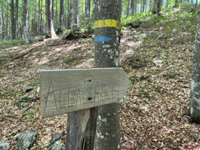 segnalazione croce monte Taiet