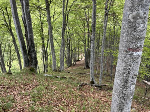 arrivo a forchia Bassa