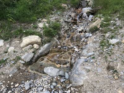 acqua in abbondanza...