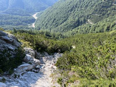 passaggio verticale su torrente tra mughi