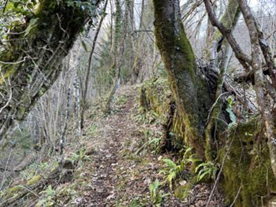 usciamo dalla parte Nord di Palcoda e riprendiamo il cammino