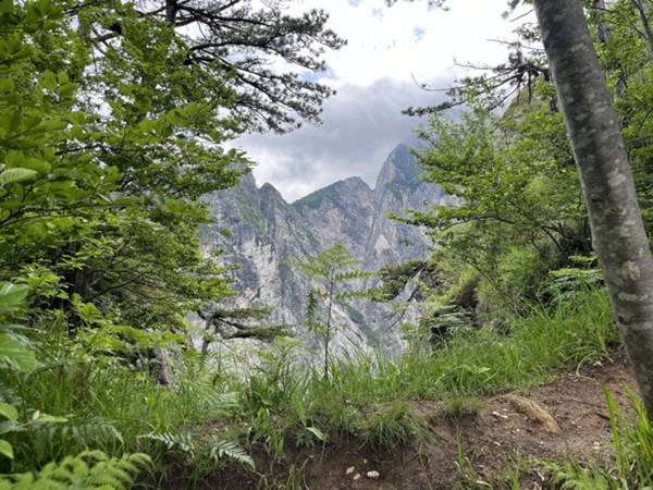 vista sulle cresta dell'Amariana