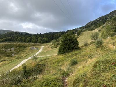 il sentiero sbuca sulla pista poco prima della piana dell'Arneri