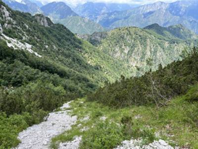 seconda parte del muro: per una sottile colata ghiaiosa tra mughi