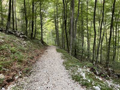 sentiero delle cascate dell'Arzino