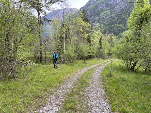 inizio del sentiero della val dei Roris