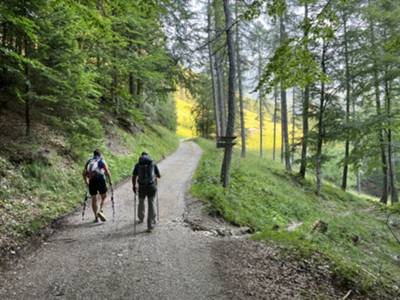 bivio CAI 374: continuiamo sulla strada sterrata